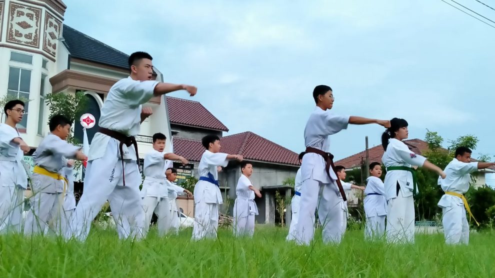 Akademi Seni Bertarung Kyokushin Indonesia